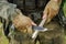 Soldier with a knife cut a wooden stick