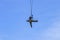 Soldier rescue emergency by army helicopter with rope on blue sky