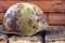 A soldier`s helmet, rusty on a wooden background. Postcard