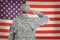 Soldier Saluting Old American Flag