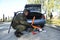 Soldier searching personal belongings of suspect near a stopped car. Checkpoint, training. Ukraine