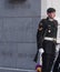 Soldier Standing Guard On Remembrance Day