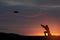 Soldier trying to shoot down reconnaissance drone against the backdrop of a sunset.