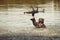 Soldier in uniform swimming in lake with assault rifle