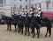 Soldiers from Blues and Royals Cavalry Regiment.
