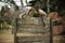 Soldiers climbing wooden wall