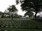 Soldiers graves at World War II Army Fighters Military Cemetery in Kanchanaburi, Thailand