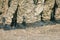 Soldiers legs in military uniform and boots standing in line at camp