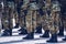 Soldiers in masking camouflage uniforms on parade