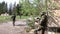 Soldiers in military uniform with weapon walk on background of ruined house.