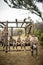 Soldiers sitting on the obstacle course in boot camp