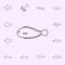 sole icon. Fish icons universal set for web and mobile