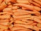 Solid background of last year`s dirty carrots in the market
