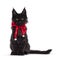 Solid black Maine Coon cat kitten on white in christmas setting