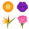 Solid colors flowers set