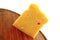 Solid gauda cheese on wood