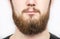 Solid man with beard and mustache. Closeup portrait of athletic bearded man. Handsome stylish bearded man. male, macho, long