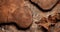 Solid oak cutting board and pine tree bark on rust metal background.