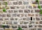 Solid Stone Wall Background