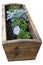 Solid wood design flower box or trough with beautiful flowers growing in well watered soil