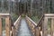 A solid wooden bridge over the forested wetlands. Forest reserve of forest bogs
