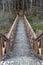 A solid wooden bridge over the forested wetlands. Forest reserve of forest bogs