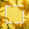 Solidago flower on pastel background with white square frame