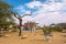 Solitaire gas station near the Namib-Naukluft National Park in Namibia