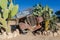 Solitaire, Namibia - July 05 2014: Rusting classic car building part of cactus hedge in Solitaire