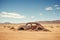 Solitary Abandoned Auto in the Barren Desert.
