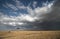 Solitary Acacia Tree against the rain clouds at masai Mara National Park