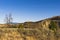 Solitary bare tree and dry cliffs