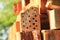 Solitary bees nesting in the brick