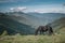 Solitary black horse in the mountain