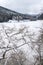 Solitary building in beautiful snowy winter forest landscape, frozen Brezova dam