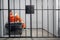 Solitary cell with a criminal in an orange robe in an asian prison. Copy space. Sad emotions of a young guy.