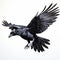 solitary crow gracefully soars through the sky, Generative AI