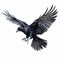 solitary crow gracefully soars through the sky, Generative AI