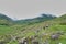 Solitary figure in a vast mountain meadow, traversing a path across the lush green grass in Ireland