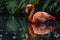 A solitary flamingo wades in still waters, casting a perfect reflection of its vibrant plumage