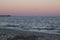 Solitary gull after sunset at Milford Point, Connecticut.