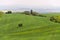 Solitary house hidden behind trees in the middle of beautiful green fields nature landscape, sunny summer day, secluded dwelling