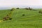 Solitary house hidden behind trees in the middle of beautiful green fields nature landscape, sunny summer day, secluded dwelling