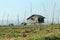 Solitary house on Inle Lake