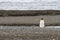 A solitary King Penguin, Aptenodytes patagonicus, on the beach at Parque Pinguino Rey, Tierra del Fuego Patagonia