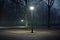 solitary lamp post in an unlit park