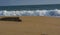 Solitary Log on the beach facing Waves - Sanguthurai