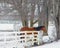 Solitary Lone Brown Horse Looking Over Fence