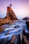 Solitary lone tree on a rock stands firm against the elements