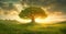 Solitary majestic tree at sunset in a vibrant meadow, idyllic and peaceful